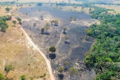 Imagem da notícia MP apura incêndio que queimou 162 hectares e atingiu cinco propriedades em Coxim